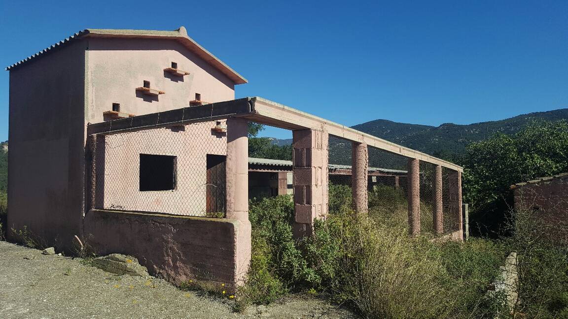 Finca a la venda ideal amb molt de terreny per a vedat de caça Jonquera