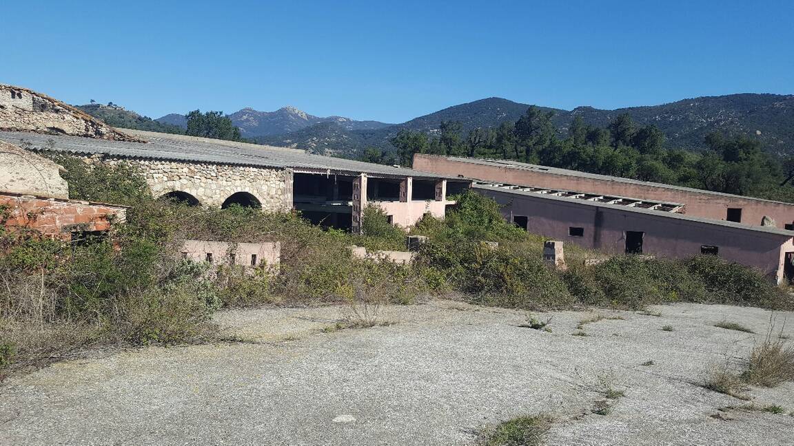 Finca a la venda ideal amb molt de terreny per a vedat de caça Jonquera