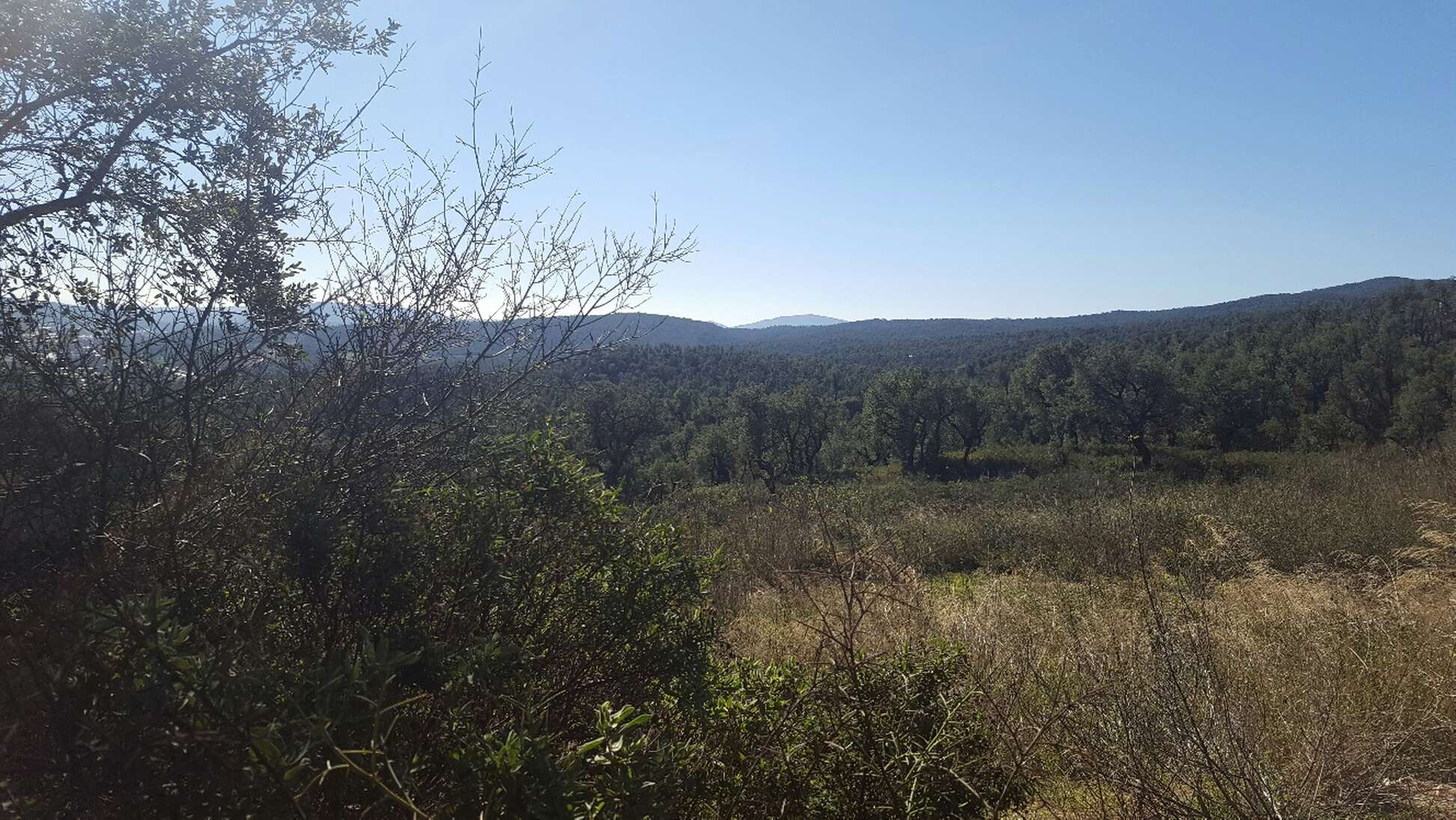 Finca à vendre avec beaucoup de terrain pour terrain de chasse Junquera