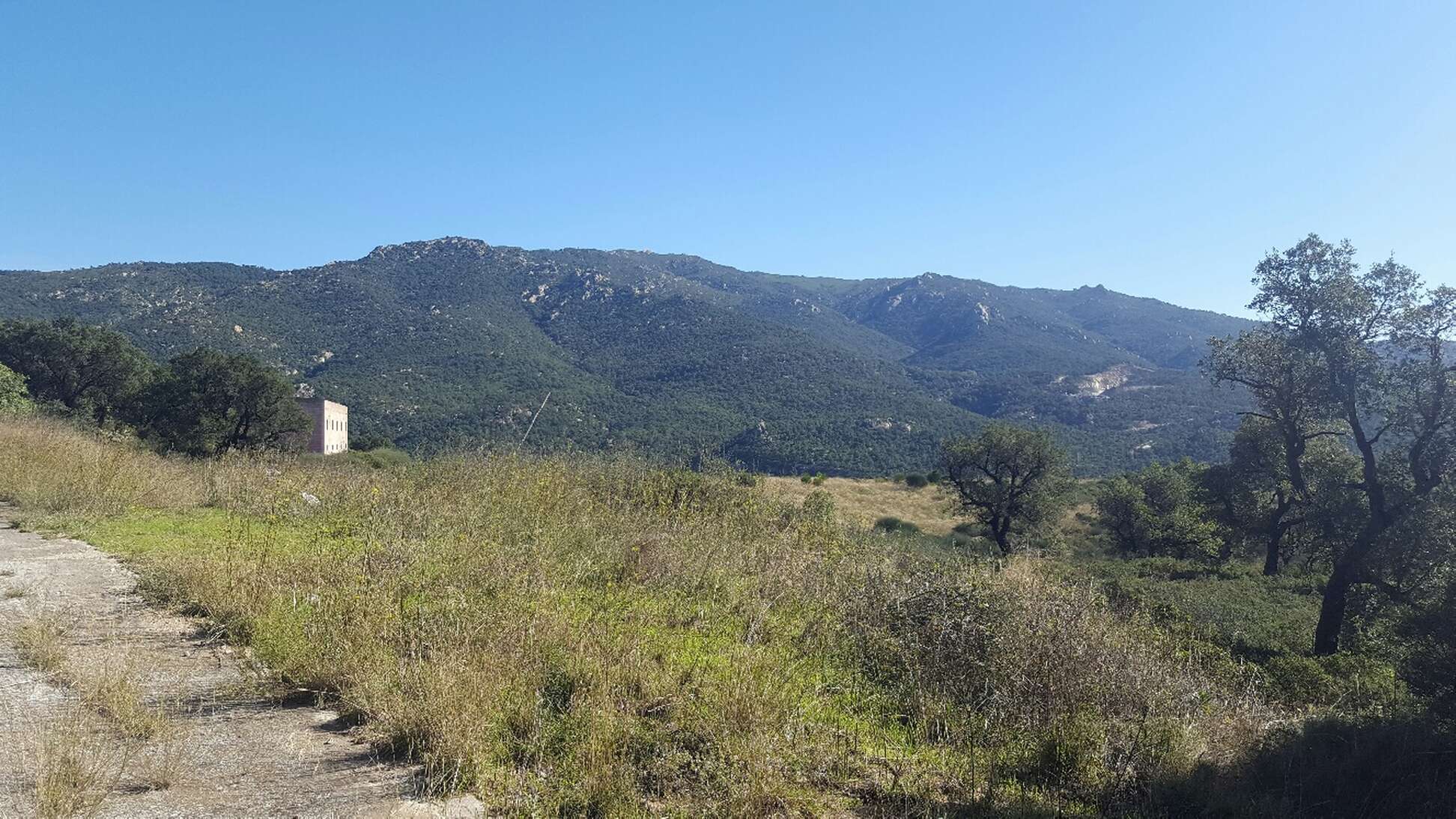 Finca a la venda ideal amb molt de terreny per a vedat de caça Jonquera