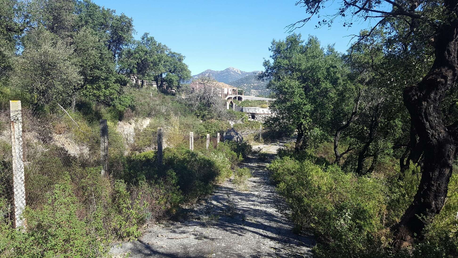 Finca a la venda ideal amb molt de terreny per a vedat de caça Jonquera