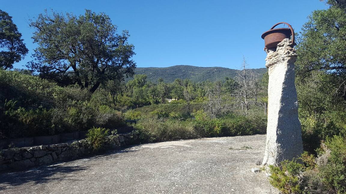 Finca à vendre avec beaucoup de terrain pour terrain de chasse Junquera