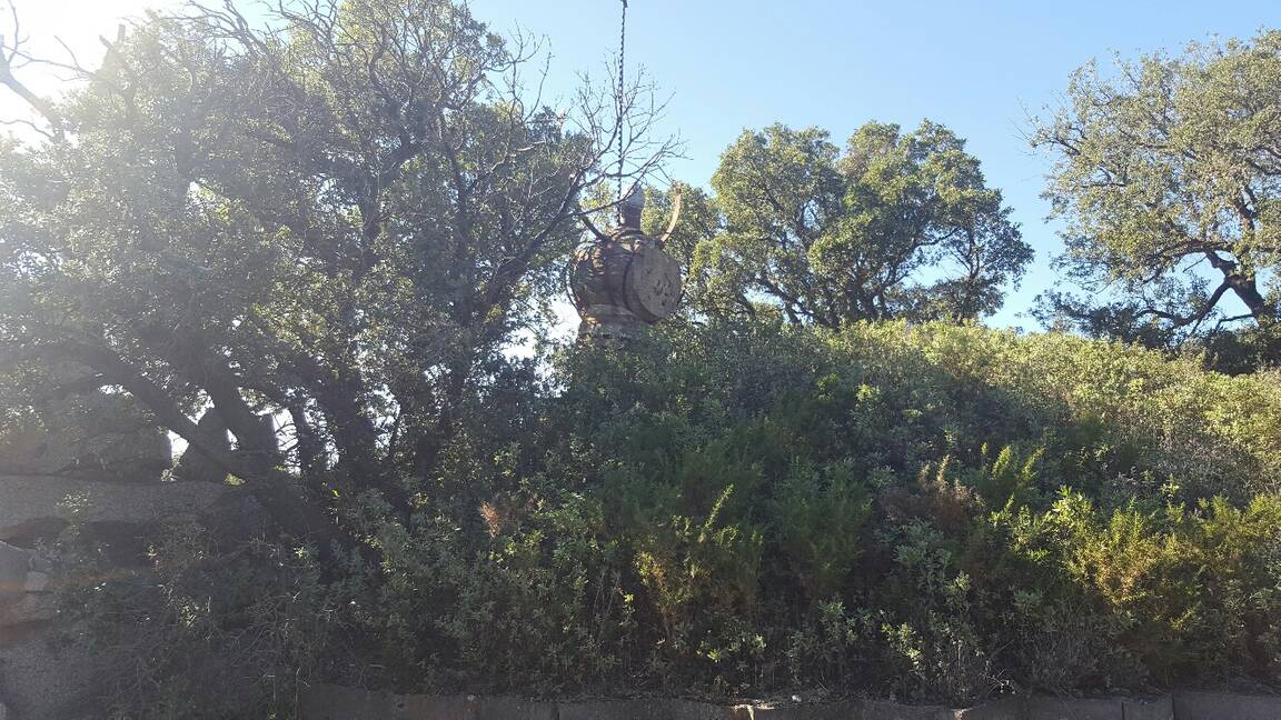 Finca a la venda ideal amb molt de terreny per a vedat de caça Jonquera