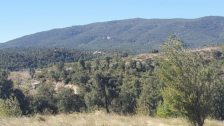 Finca à vendre avec beaucoup de terrain pour terrain de chasse Junquera