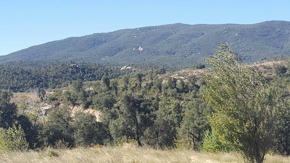 Finca a la venda ideal amb molt de terreny per a vedat de caça Jonquera