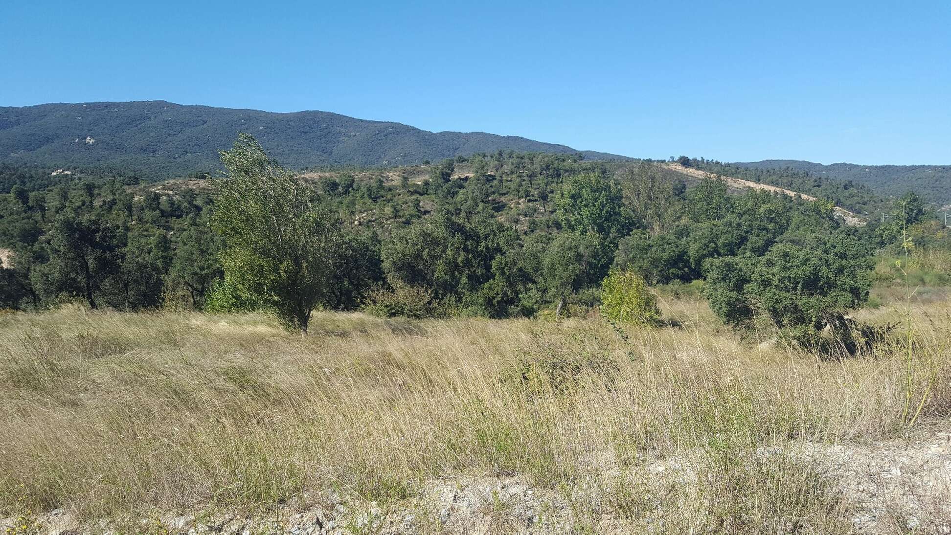 Finca a la venda ideal amb molt de terreny per a vedat de caça Jonquera