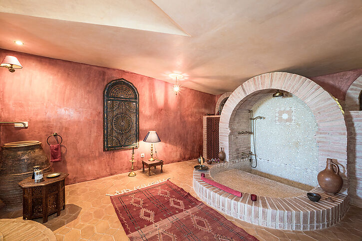 Fantastic rural farmhouse or luxury hotel for sale in flat nature.