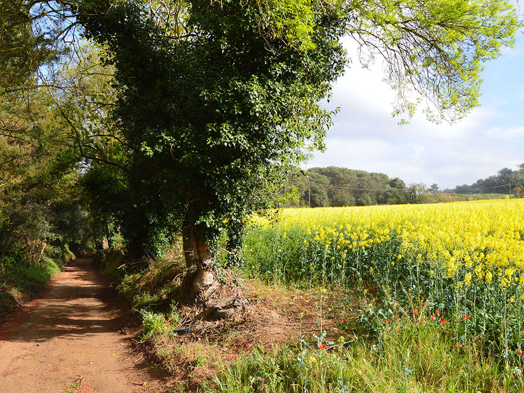 Venta de hotel rural en parque natural. Oportunidad única.