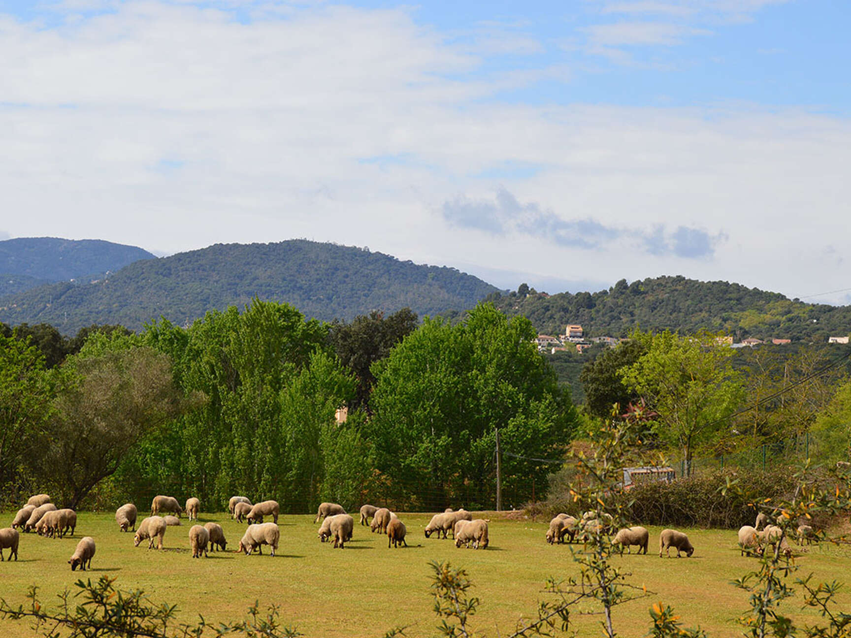 Venta de hotel rural en parque natural. Oportunidad única.