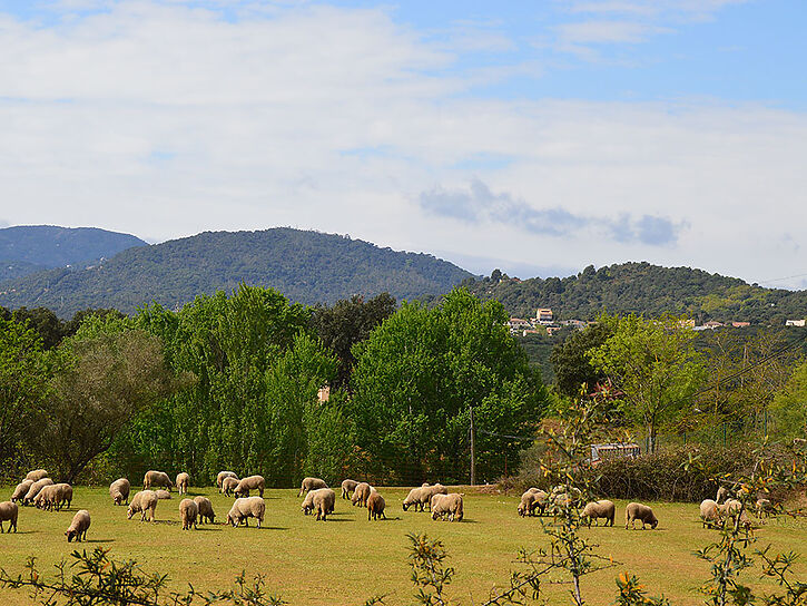 Sale of rural hotel in natural park. Unique opportunity.